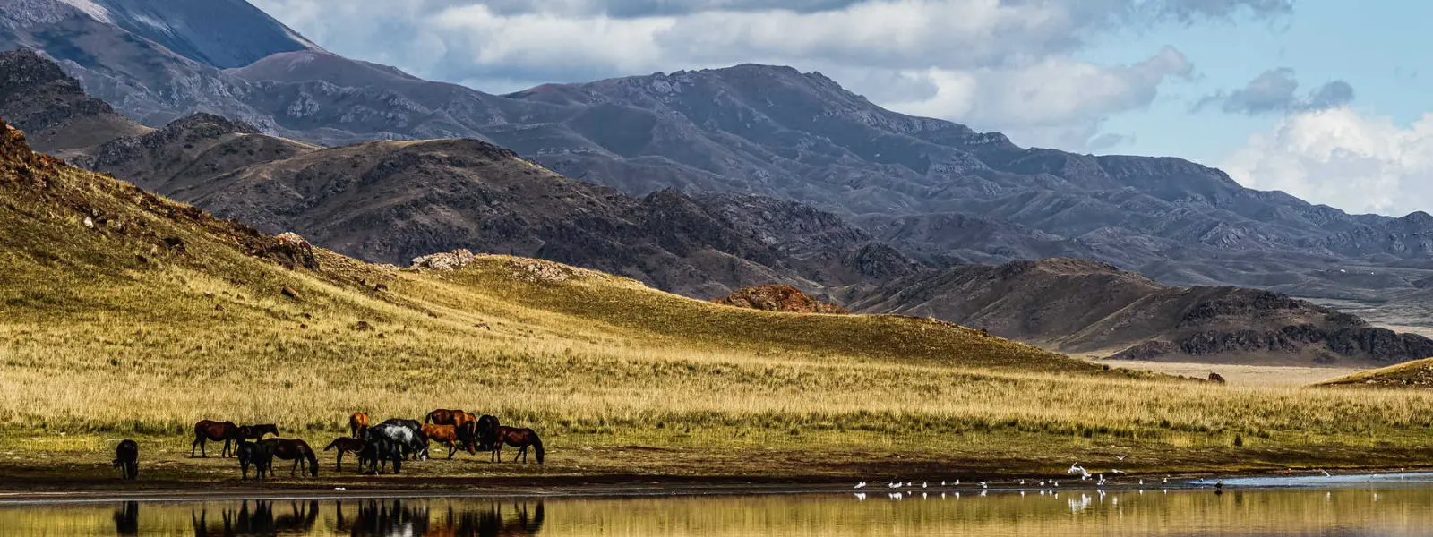 Qui et ipsam fugiat. Autem quia aspernatur necessitatibus sapiente totam.